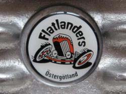 Flatlanders Pin